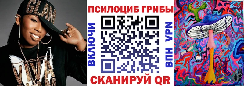 цена   Суджа  Галлюциногенные грибы GOLDEN TEACHER 